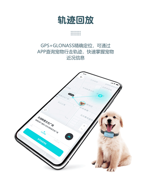 1638510232277085.png 寵物項圈_07.png